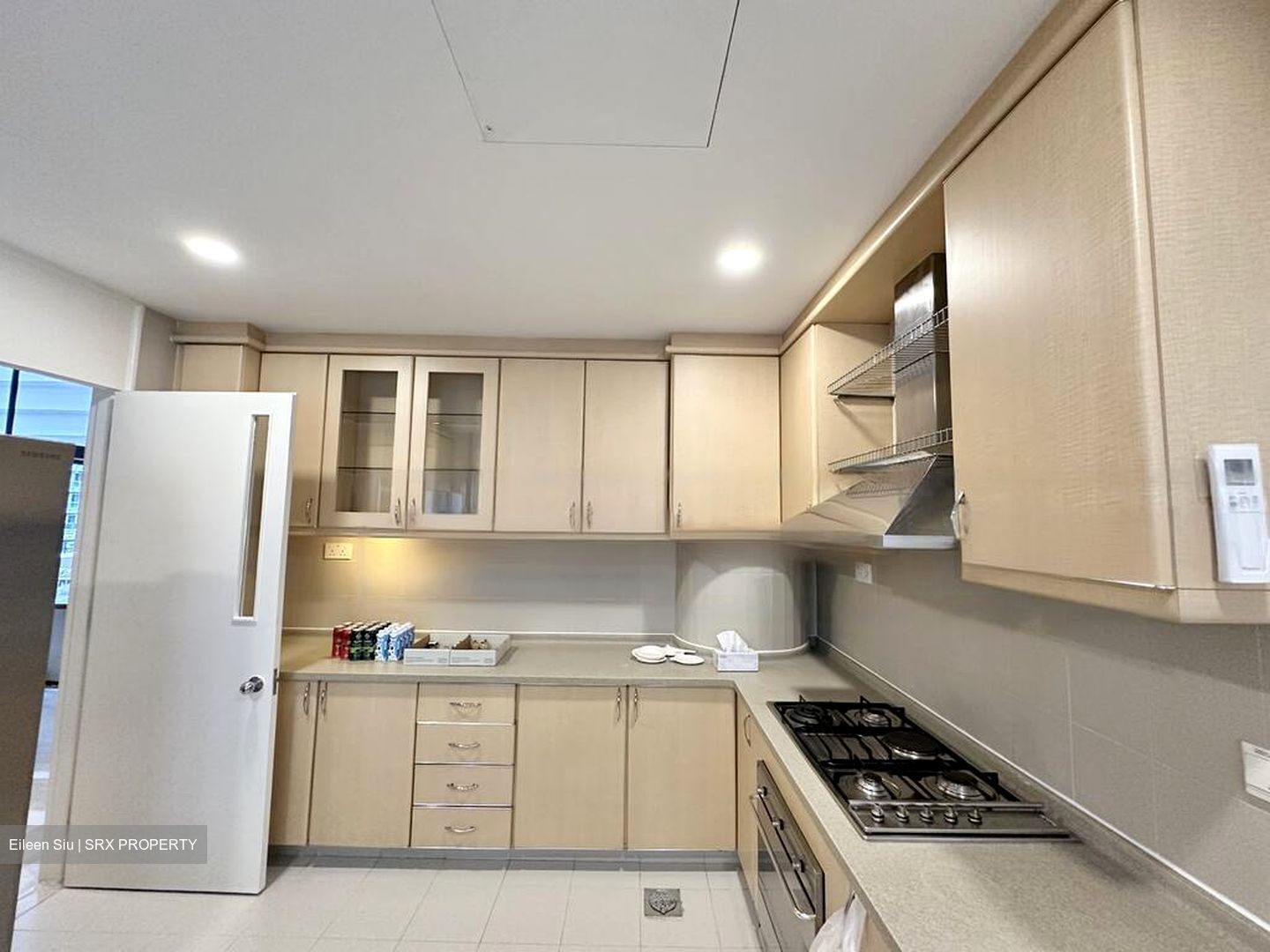 The Colonnade (D10), Condominium #447668801